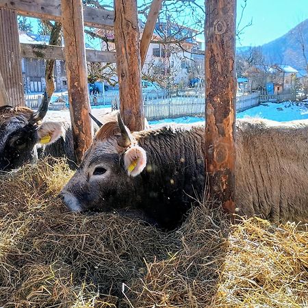 阿尔迪诺Koflhof Urlaub Auf Dem Bauernhof别墅 外观 照片